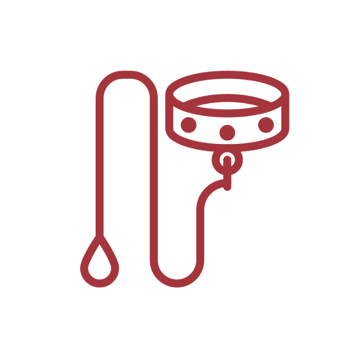 Global Pet Foods PEI Where pets are undeniably part of the family.