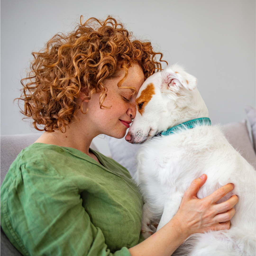 Pet Mental Health