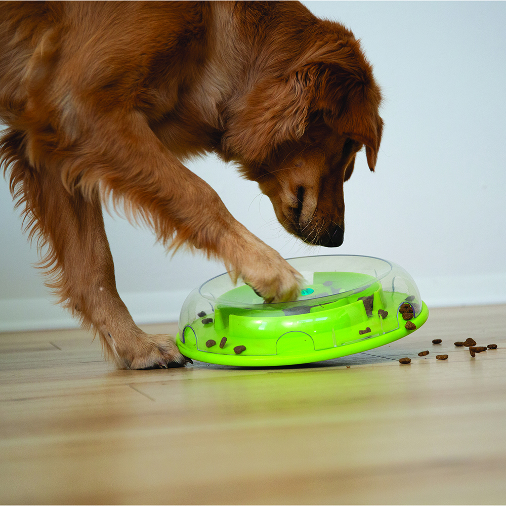 https://globalpetfoodspei.ca/wp-content/uploads/Wobble-Bowl.jpg